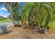 Lush landscaping with rock features and tropical plants at 4031 Eagle Nest Dr, Hernando Beach, FL 34607