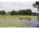 Serene lake view with lush greenery and lily pads at 6404 Land O Lakes Blvd., Land O Lakes, FL 34638