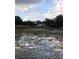 Peaceful waterfront view with lily pads and distant home at 6404 Land O Lakes Blvd., Land O Lakes, FL 34638
