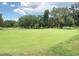 Golf course putting green with trees and blue sky at 5116 Curran St, Zephyrhills, FL 33542