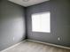 Simple bedroom with gray walls and carpet at 6410 Cypressdale Dr # 201, Riverview, FL 33578