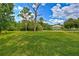 Spacious backyard with grassy area and mature trees at 26638 Green Willow Run, Wesley Chapel, FL 33544