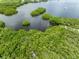 Scenic aerial view of a lush nature preserve at 1215 Bayshore Dr, Terra Ceia, FL 34250