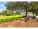 Mature landscaping, large backyard with spacious lawn at 1810 S Valrico Rd, Valrico, FL 33596