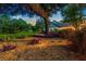 Landscaped backyard with lighting and large tree at 1810 S Valrico Rd, Valrico, FL 33596