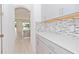 Grey kitchen cabinets and quartz countertops, with view into the living area at 10813 Rolling Moss Rd, Tampa, FL 33647