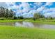 Peaceful pond and lush green landscape at 10813 Rolling Moss Rd, Tampa, FL 33647