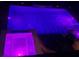 Inviting pool and spa at night with colorful lighting at 10813 Rolling Moss Rd, Tampa, FL 33647