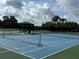 Enjoy resort-style living with these well-maintained tennis and pickleball courts at 10813 Rolling Moss Rd, Tampa, FL 33647