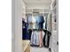 Well-organized walk-in closet with tiered hanging space and built-in drawers and shelves at 617 Islebay Dr, Apollo Beach, FL 33572