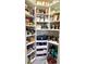 Organized pantry with shelves stocked with food and storage containers, creating a functional kitchen space at 617 Islebay Dr, Apollo Beach, FL 33572