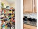 Well-organized pantry with ample shelving for storage and kitchen appliances at 13951 Caden Glen Dr, Hudson, FL 34669