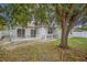 Large backyard with a sprawling tree and a white fence at 1839 Sunrise Dunes Ct, Tarpon Springs, FL 34689