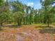 Expansive parcel featuring mature trees, offering privacy and natural beauty for a custom home or development at 0 Castlewood Rd # Lot 3, Seffner, FL 33584