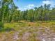 Large lot presents an abundance of trees, offering seclusion and a stunning backdrop for your dream home at 0 Castlewood Rd # Lot 3, Seffner, FL 33584