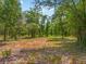 This is a beautiful plot of land with established trees, perfect for building your dream home or next development at 0 Castlewood Rd # Lot 3, Seffner, FL 33584