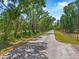 Street view showcases the serene atmosphere with tree-lined streets and natural landscape in this location at 0 Castlewood Rd # Lot 3, Seffner, FL 33584