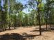 Spacious cleared lot surrounded by lush Florida woods at 0 Castlewood Rd # Lot 3, Seffner, FL 33584