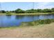 Peaceful lake view with lush greenery at 11919 Grand Kempston Dr, Gibsonton, FL 33534