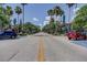 Palm tree-lined street with parked cars at 2219 Beach S Blvd, Gulfport, FL 33707