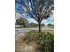 Street view featuring a landscaped neighborhood park and mature shade trees lining the street at 3201 Dunstable Dr, Land O Lakes, FL 34638