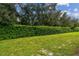 Landscaped backyard with hedge and lawn at 6919 Surrey Hill Pl, Apollo Beach, FL 33572