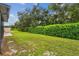 Large backyard with lush greenery and privacy hedge at 6919 Surrey Hill Pl, Apollo Beach, FL 33572