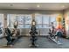 Modern fitness center with cardio equipment and lake views at 15626 Aurora Lake Cir, Wimauma, FL 33598