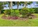 Attractive landscaping with tropical plants and palm trees at 15626 Aurora Lake Cir, Wimauma, FL 33598