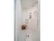 Spa-like shower with glass enclosure and mosaic tile floor at 1200 Gulf Blvd # 105, Clearwater Beach, FL 33767