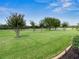 Spacious backyard overlooking a golf course with a pond in the distance at 13217 Thoroughbred Dr, Dade City, FL 33525