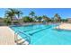 Inviting community pool with palm trees at 13217 Thoroughbred Dr, Dade City, FL 33525