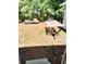 Relaxing backyard with hammock and mature trees at 1478 Alternate Keene Rd, Largo, FL 33771