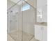 Modern bathroom with a large walk-in shower at 32252 Wetland Bird Vw, San Antonio, FL 33576