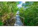 Wood dock surrounded by lush vegetation, leading to boat parking with easy water access at 6419 Marbella Blvd, Apollo Beach, FL 33572