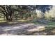 Open grassy area with trees and a small structure at 6909 Dormany Loop, Plant City, FL 33565