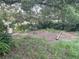 Overgrown backyard with mature trees and some landscaping at 1874 Douglas Ave, Clearwater, FL 33755
