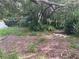 Partially overgrown backyard with leaf covered ground at 1874 Douglas Ave, Clearwater, FL 33755