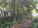 Side yard with overgrown landscaping and a fence at 1874 Douglas Ave, Clearwater, FL 33755