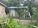 Backyard with shed, brick path and overgrown landscaping at 1874 Douglas Ave, Clearwater, FL 33755