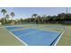 Outdoor pickleball courts perfect for recreation at 2507 Lancaster Dr, Sun City Center, FL 33573