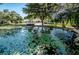 Serene pond with lush lily pads and a small waterfall at 7037 Sunset S Dr # 602, South Pasadena, FL 33707