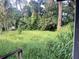 Overgrown backyard with tall grass and trees at 403 6Th Sw Ave, Ruskin, FL 33570