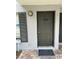 Gray front door with a house number 5160 at 5160 Sunridge Palms Dr, Tampa, FL 33617