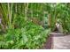 Lush landscaping with ferns, palms, and stone accents at 455 13Th Ne Ave, St Petersburg, FL 33701