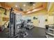 Well-equipped fitness center featuring treadmills and weight machines at 4207 S Dale Mabry Hwy # 11109, Tampa, FL 33611