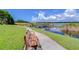 Peaceful lakeside walk with a bench and scenic views at 10100 Sailwinds N Blvd # 205, Largo, FL 33773