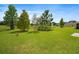 Large grassy backyard with mature trees at 35716 Hillbrook Ave, Zephyrhills, FL 33541