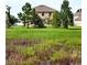 House with a large backyard near water at 35716 Hillbrook Ave, Zephyrhills, FL 33541