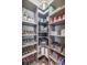 Well-organized pantry with ample shelving for food storage at 5014 Ruby Flats Dr, Wimauma, FL 33598